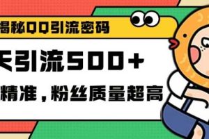 独家解密QQ里的引流密码，高效精准，实测单日加100+创业粉【揭秘】网赚项目-副业赚钱-互联网创业-资源整合三网合壹|项目站