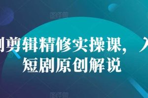 短剧剪辑精修实操课,入门短剧原创解说网赚项目-副业赚钱-互联网创业-资源整合三网合壹|项目站