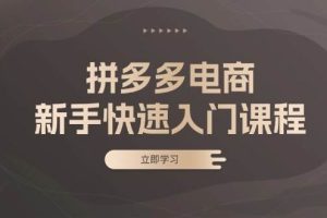 (13289期)拼多多电商新手快速入门课程:涵盖基础、实战与选款,助力小白轻松上手网赚项目-副业赚钱-互联网创业-资源整合三网合壹|项目站