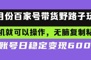(13281期)百家号带货野路子玩法 手机就可以操作,无脑复制粘贴 单账号日稳定变现…网赚项目-副业赚钱-互联网创业-资源整合三网合壹|项目站