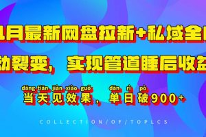 11月最新网盘拉新+私域全自动裂变,实现管道睡后收益,当天见效果,单日破900+网赚项目-副业赚钱-互联网创业-资源整合三网合壹|项目站