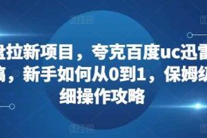 网盘拉新项目,夸克百度uc迅雷一起搞,新手如何从0到1,保姆级详细操作攻略网赚项目-副业赚钱-互联网创业-资源整合三网合壹|项目站