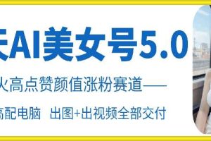 云天AI美女号5.0,爆火高点赞颜值涨粉赛道网赚项目-副业赚钱-互联网创业-资源整合三网合壹|项目站