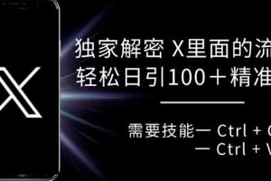 独家解密 X 里面的流量密码,复制粘贴轻松日引100+网赚项目-副业赚钱-互联网创业-资源整合三网合壹|项目站