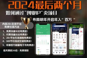 (13322期)2024最后两个月如何通过”创业IP“卖项目年入”百万“,创业IP+最强引流…网赚项目-副业赚钱-互联网创业-资源整合三网合壹|项目站