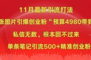 小红书11月最新图片打粉,一张图片引爆创业粉,“预算4980带我飞”,单条引流500+精准创业粉网赚项目-副业赚钱-互联网创业-资源整合三网合壹|项目站