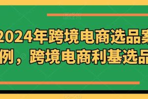 2024年跨境电商选品案例,跨境电商利基选品(更新11月)网赚项目-副业赚钱-互联网创业-资源整合三网合壹|项目站