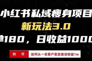 (13348期)小红书瘦身项目3.0模式,新手小白日赚收益1000+(附从一名客户裂变收益…网赚项目-副业赚钱-互联网创业-资源整合三网合壹|项目站