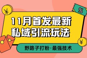 11月首发最新私域引流玩法,自动克隆爆款一键改写截流自热一体化 日引300+精准粉网赚项目-副业赚钱-互联网创业-资源整合三网合壹|项目站