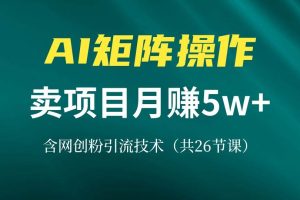 (13335期)网创IP打造课,借助AI卖项目月赚5万+,含引流技术(共26节课)网赚项目-副业赚钱-互联网创业-资源整合三网合壹|项目站