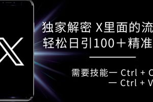 独家解密 X 里面的流量密码,复制粘贴轻松日引100+粉,精准迅速获客网赚项目-副业赚钱-互联网创业-资源整合三网合壹|项目站